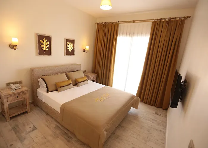 De Gold (adults Only) 2*